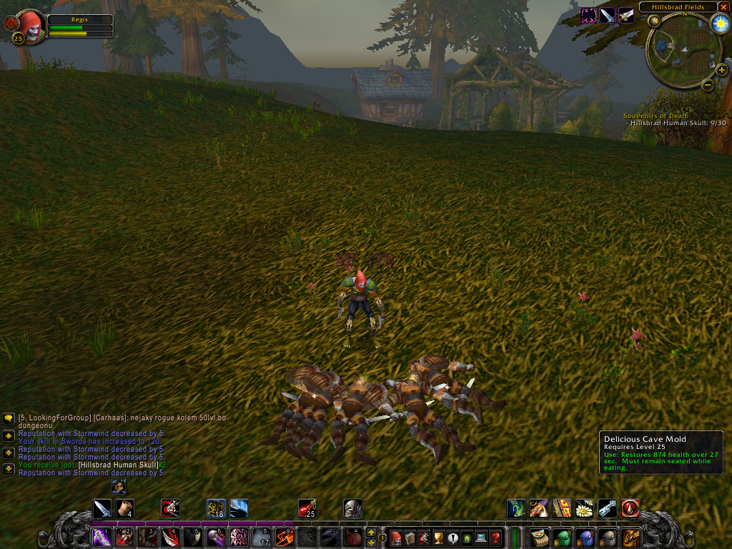 WoWScrnShot_070907_183931.jpg